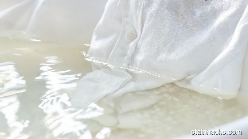 洁净生活家 淘米水洗衣服竟然这么神奇？天然增白去黄的4个隐藏用法