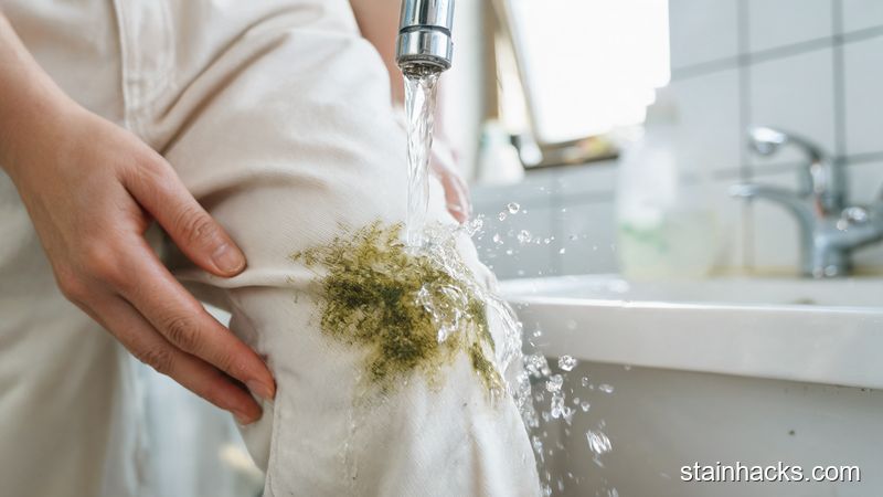 浅色裤子蹭到草渍绿印怎么洗？植物色素的针对性去除技巧全攻略