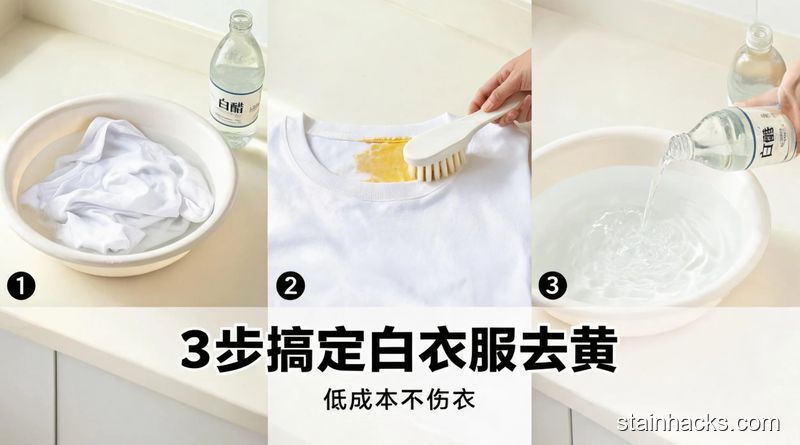 白醋洗衣服什么时候放？漂洗阶段加效果才最好